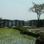 Vijayanagara Economic History