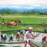 Classical Indic Agriculture: Krshi Sastra